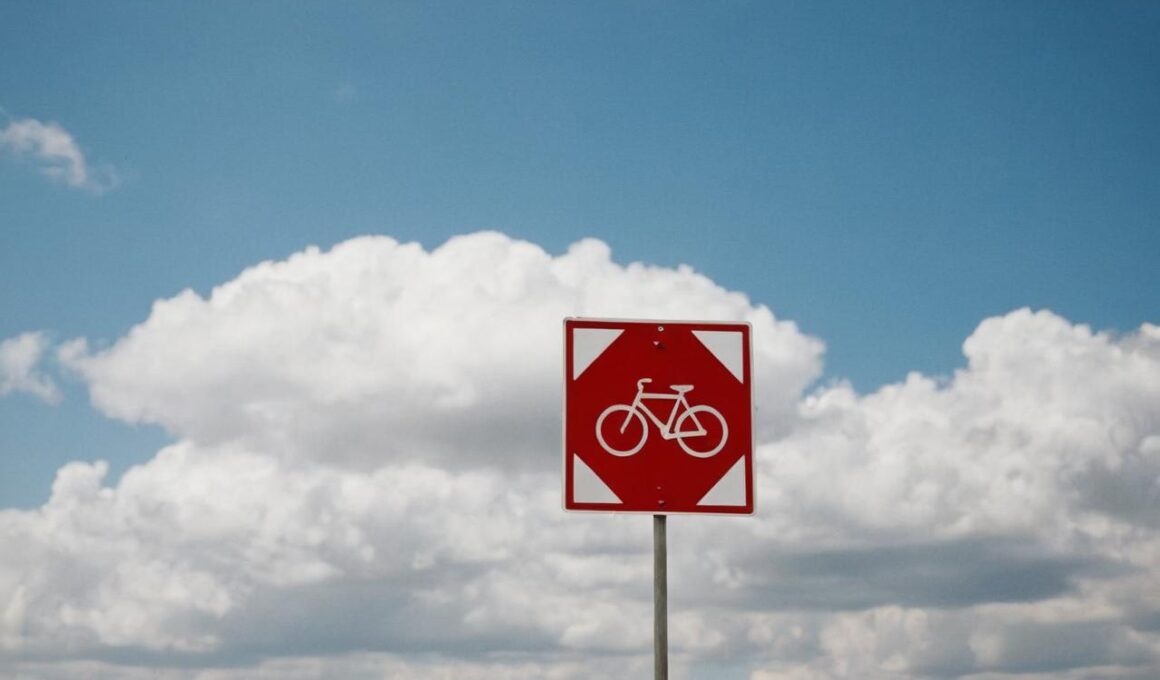 Który znak zabrania wjazdu rowerów